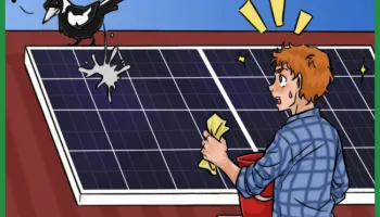 solar panel cleaning and maintenance