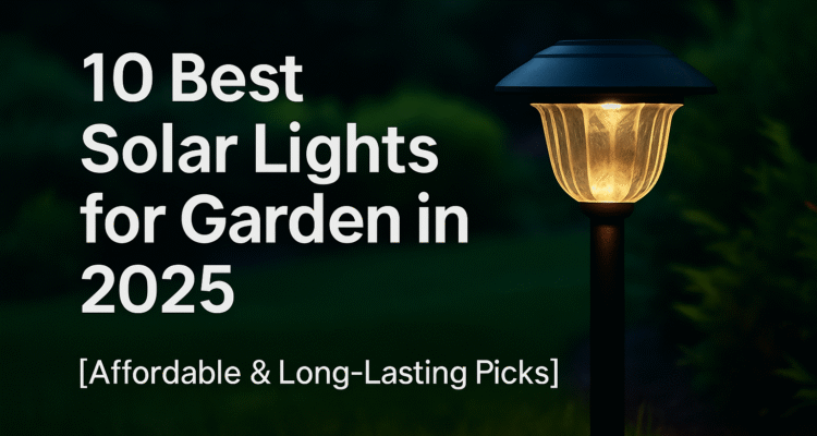 10 Best Solar Lights for Garden in 2025 [Affordable & Long-Lasting Picks]