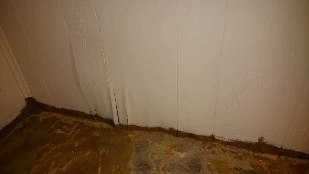 water  damage