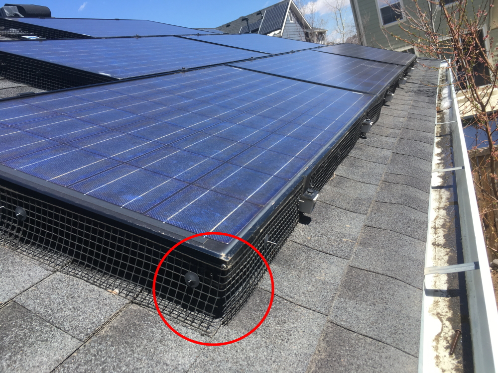 install bird critter guards 